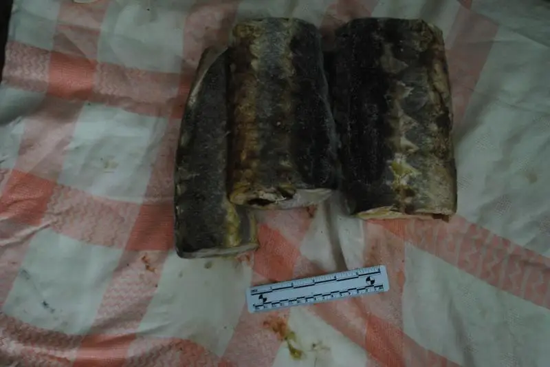 Почти 260 килограммов осетровых рыб изъяли транспортные полицейские с начала года