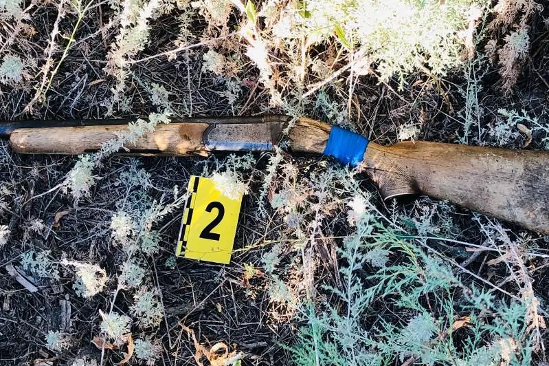 Браконьера с тушей сайги задержали в Костанайской области