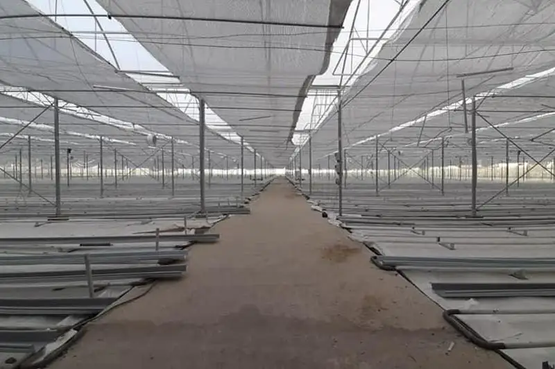 Современный тепличный комплекс появится в одном из сел Туркестанской области