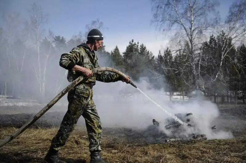 В России тушат лесные пожары на площади около 163,1 тысячи га
