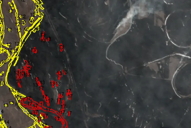 Космический мониторинг помог потушить лесной пожар в Павлодарской области