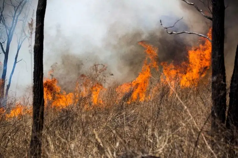 КЧС: В минувшее воскресенье произошло 24 природных пожара