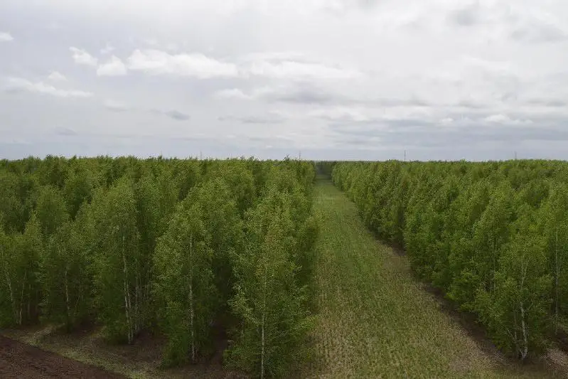 В зеленом поясе столицы появится новый обитатель