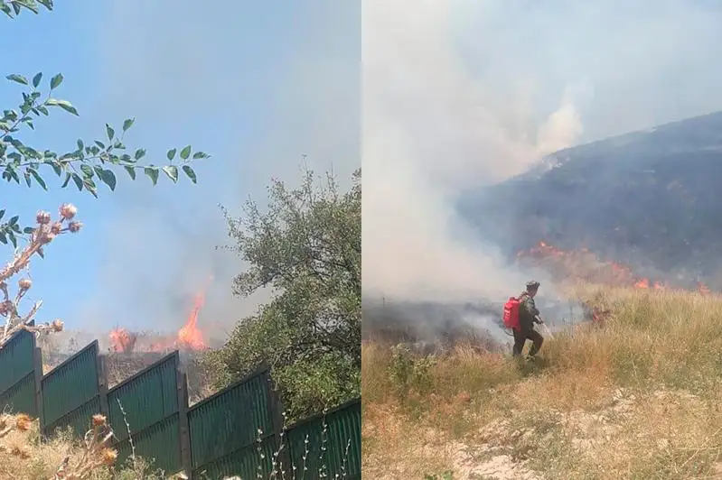 Сухостой горел близ Кенсайского кладбища в Алматы