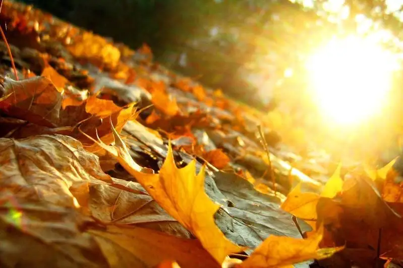 Потепление ожидается на всей территории Казахстана