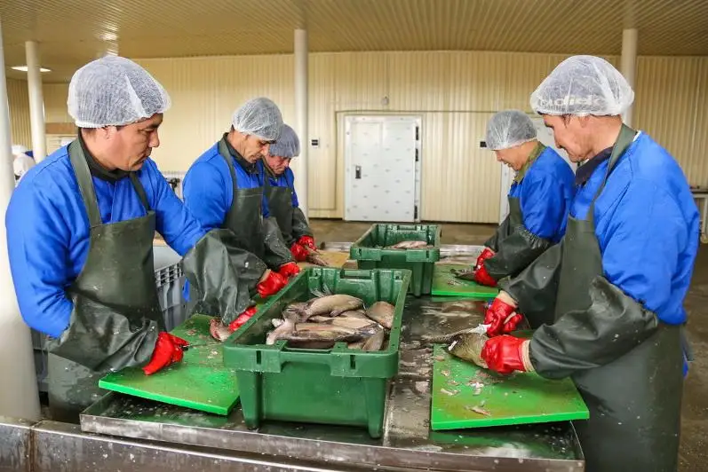 Индустриализация: проекты более чем на 550 млрд тенге реализуются в Кызылординской области