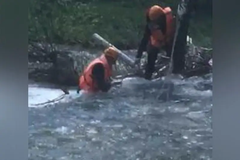 Упавшего с моста мужчину нашли мертвым в ВКО