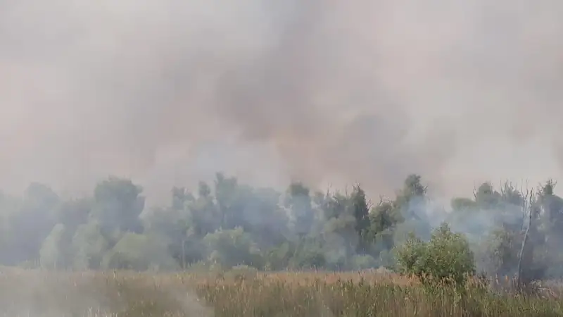 Вертолет привлекли для тушения пожара в Тарбагатайском национальном парке