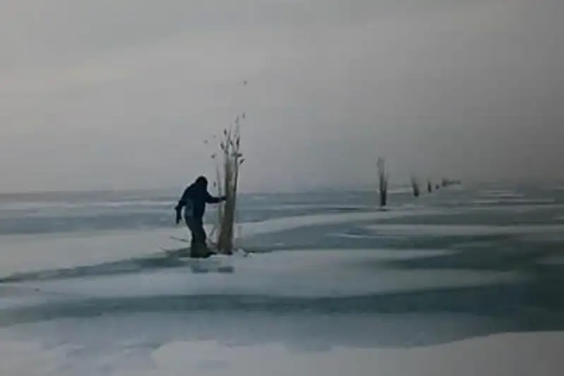 Замор рыбы предотвращают на водоемах в ВКО