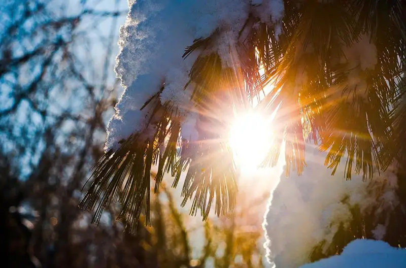 На Крещение сильных морозов в Казахстане не ожидается
