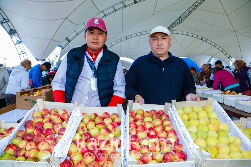 Сельхозярмарка Туркестанской области проходит в столице