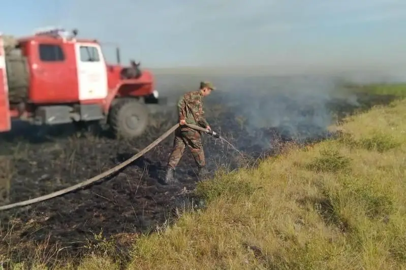 Восемь лесных и степных пожаров произошли за сутки в Казахстане