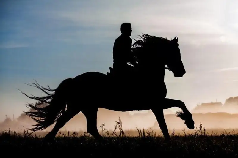 Серийного конокрада задержала полиция в Алматинской области
