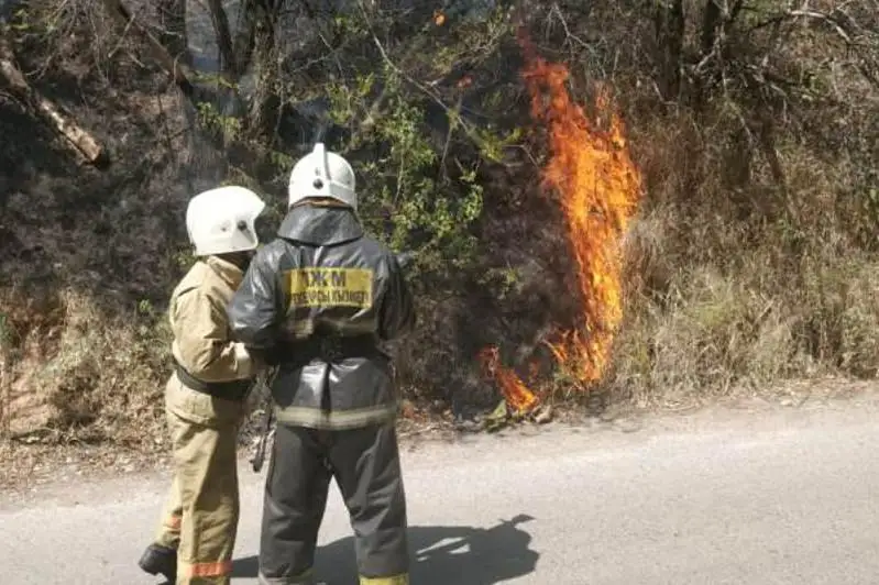Причину пожара возле «Горельника» в Алматы назвали в ДЧС