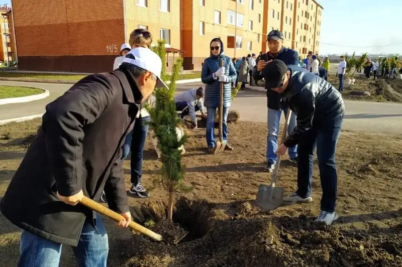 Более 13 тысяч саженцев высадили в Акмолинской области