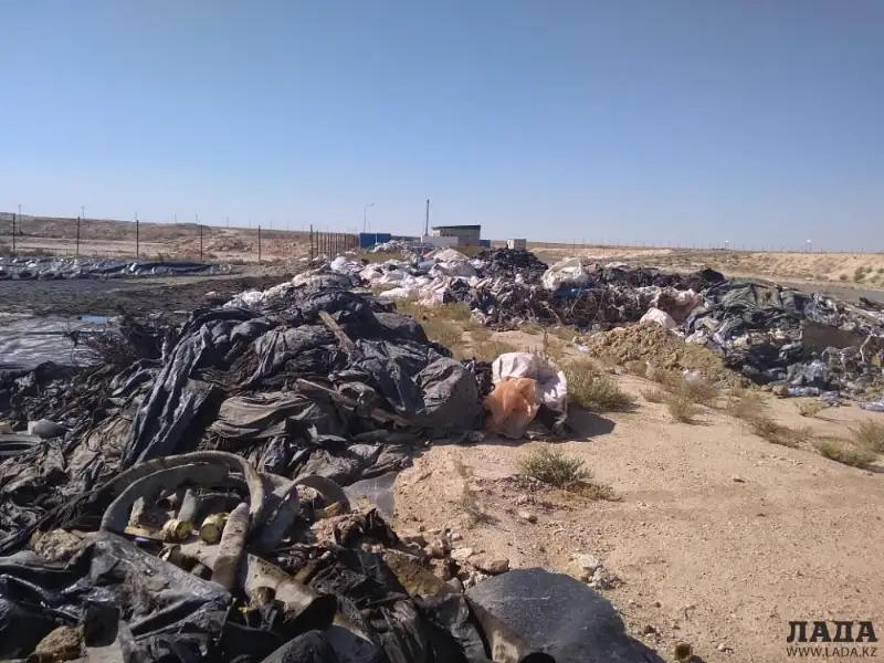 Полигон с нефтяными отходами проверят в Мангистауской области