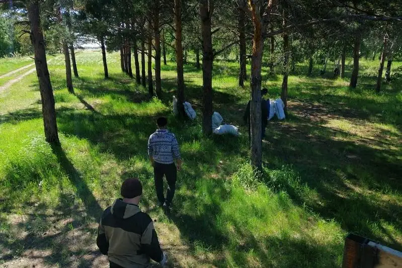 Стихийную свалку ликвидировали в селе СКО после вмешательства полиции