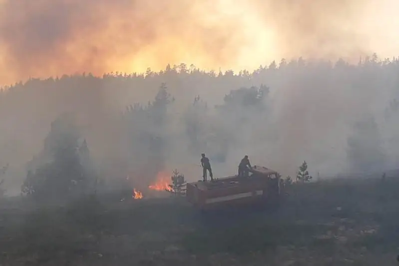 Интенсивное развитие пожара в Каркаралинском нацпарке остановлено
