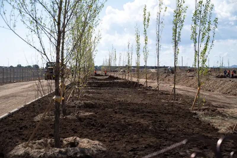 Парк имени Абая в виде домбры возводят в ВКО
