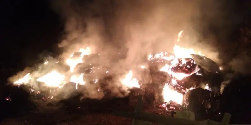 160 тонн сена сгорело в Карагандинской области