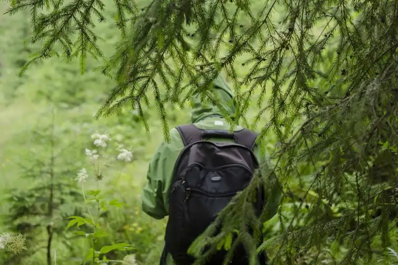 Полиция, спасатели и волонтеры искали пропавшую в лесу 18-летнюю акмолинку