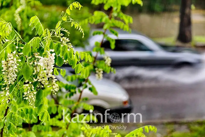 Неустойчивой будет погода в Казахстане 13-15 июня