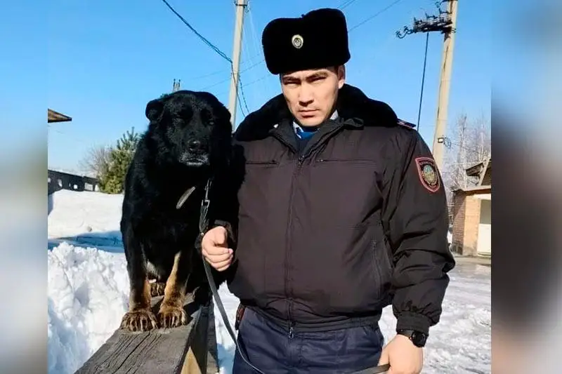 11 преступлений помогла раскрыть собака в Восточном Казахстане