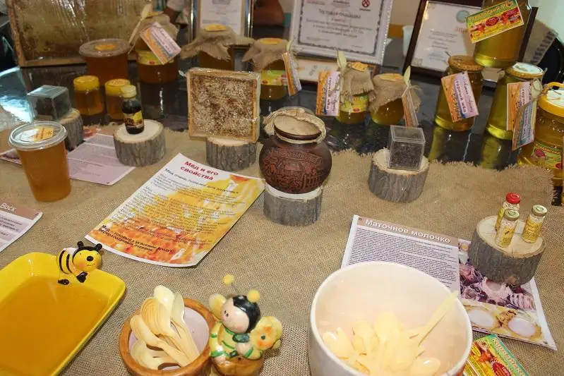 Более 500 тонн меда в год могут производить жамбылские пчеловоды