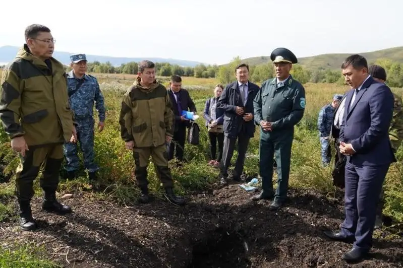 В ВКО бьют тревогу: бакланы могут съесть годовой запас рыбы на Маркаколе