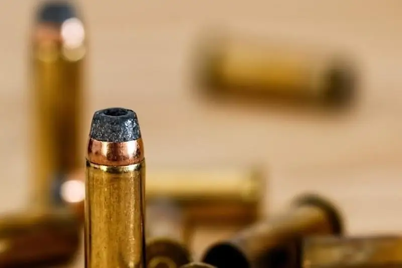 Обрез ружья обнаружили в сумке иностранца столичные полицейские