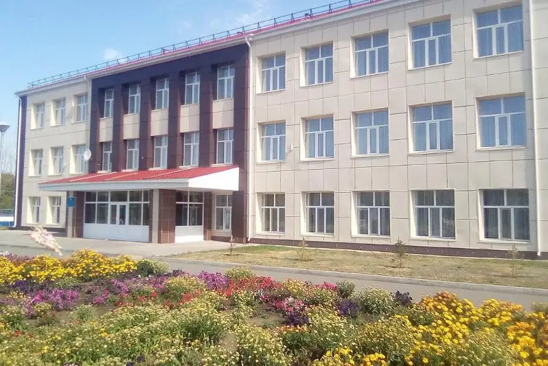 Телемост между воспитанниками детских домов прошел в Акмолинской области