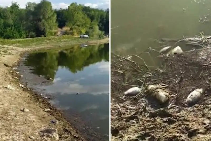 Стали известны первые результаты анализа воды в озере Пархач в Алматы