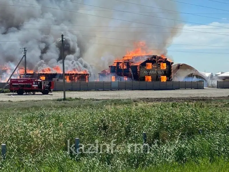 Пожар в доме отдыха под Нур-Султаном локализован