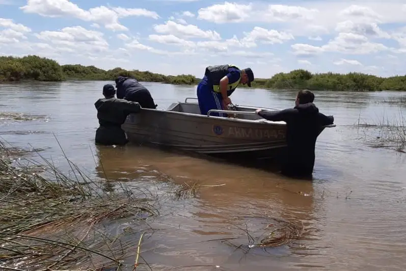 Пастух утонул при попытке найти лошадь в Акмолинской области