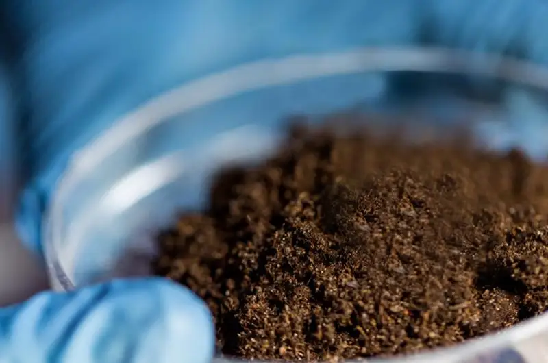 Около двухсот почвенных очагов сибирской язвы зафиксировано в Жамбылской области