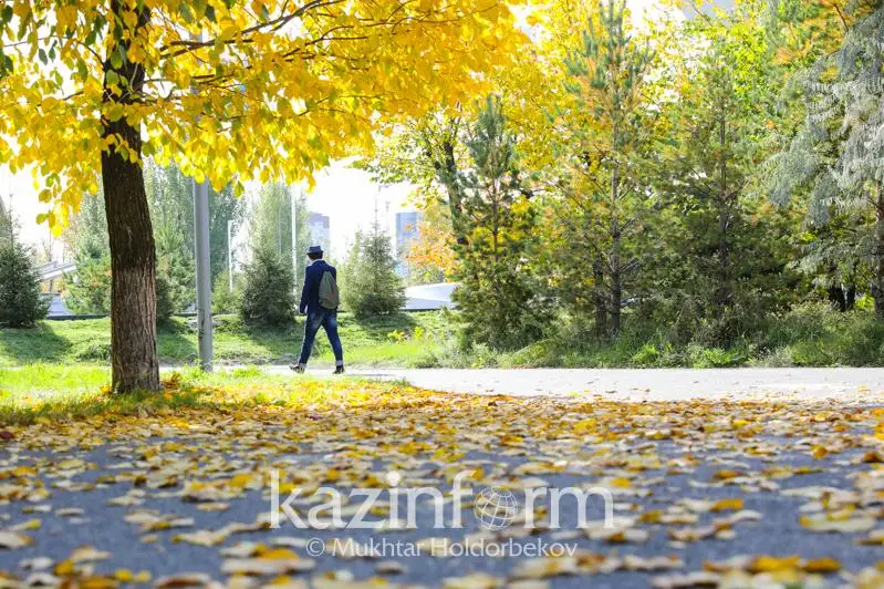 Теплую погоду обещают в Казахстане