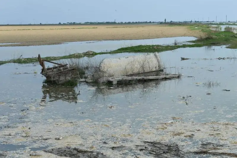 Мактаарал: идет глобальная очистка территории