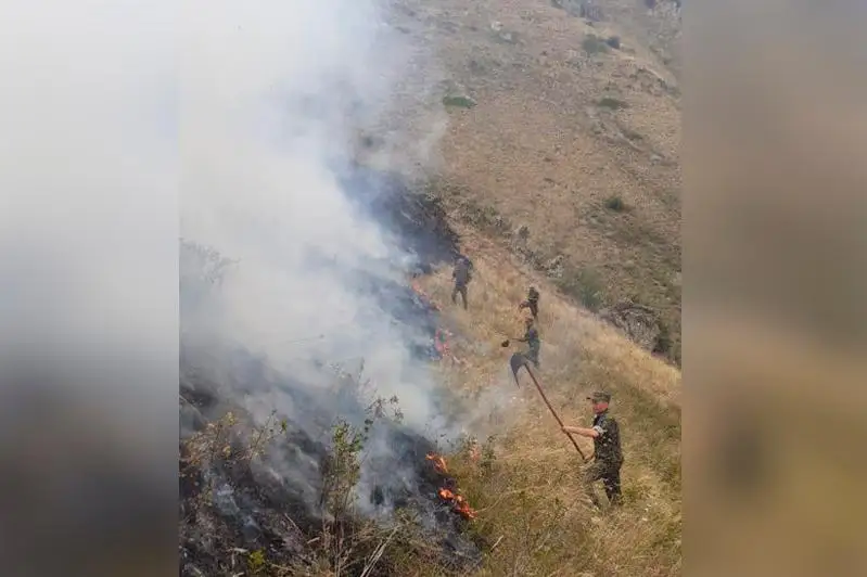 Стало известно о состоянии пострадавших в степном пожаре в Алматинской области