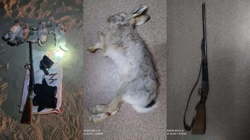 Охотники на зайцев задержаны полицией в Алматинской области