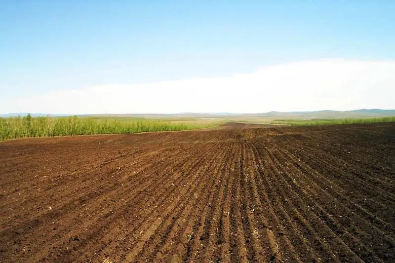 Свыше 1,5 млн га неиспользуемых земель выявлено в Акмолинской области