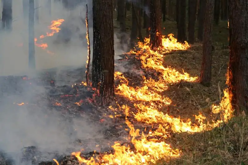 Чрезвычайная пожарная опасность объявлена в Павлодарской области