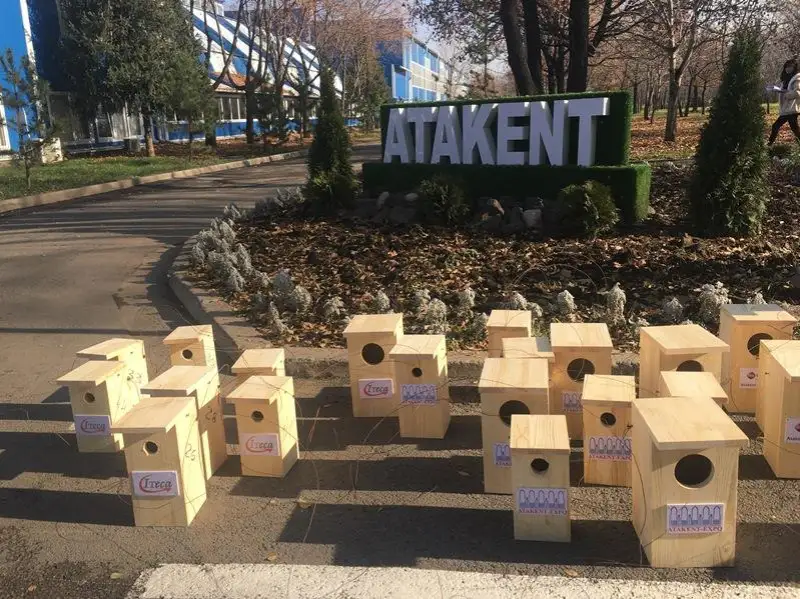 В Алматы решают проблему с нашествием насекомых