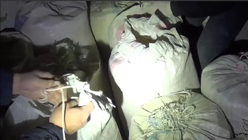 Сельчанин в Жамбылской области хранил в сарае пять мешков марихуаны