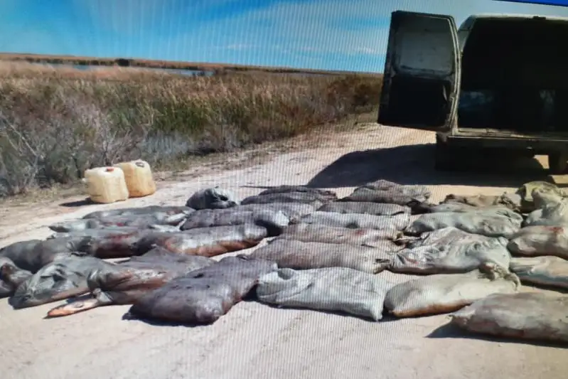 Видео о «давлении и задержаниях в Балхаше» оказалось фейком