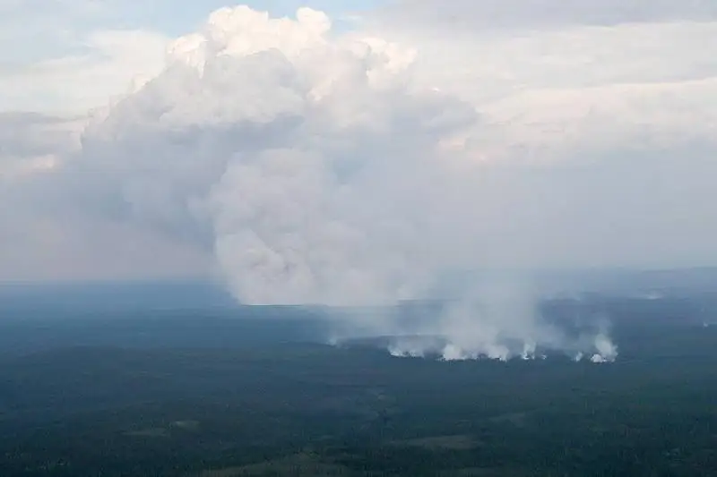 Авиация Минобороны РФ потушила в Сибири лесные пожары на площади 753 тыс. га