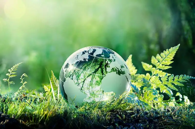 Еще два казахстанских заповедника вошли во Всемирную сеть резерватов ЮНЕСКО