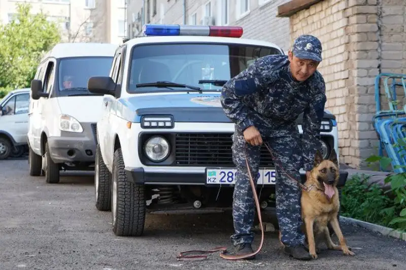 Более 500 преступлений помогли раскрыть собаки в СКО