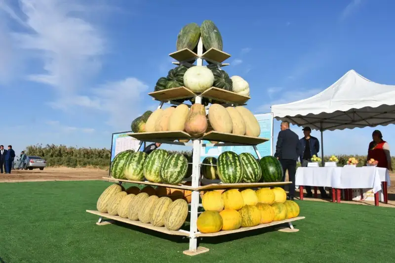 Туркестанские крестьяне могут собирать урожай 2-3 раза в год - Умирзак Шукеев