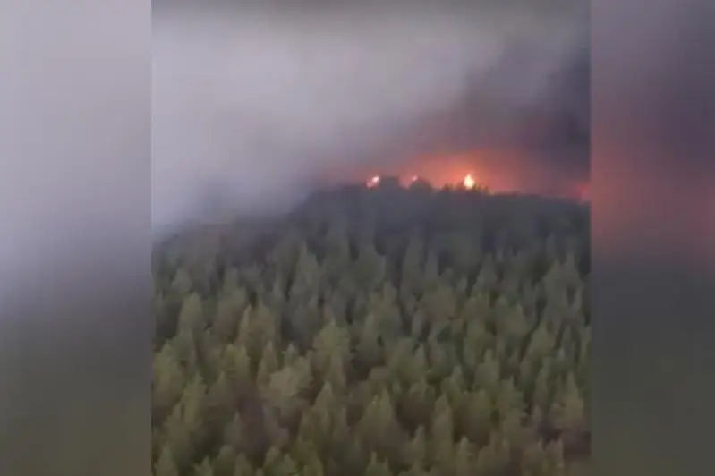 Сосны горят в природном резервате в ВКО: пожар тушат с земли и воздуха