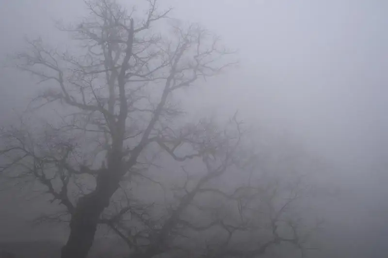 Туман ожидается в Актау